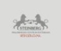 Steinberg Ringfabriek - 123gold Nederland
